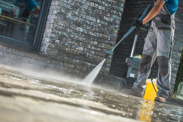 Best Sidewalk and Walkway Cleaning  in Oak View, CA