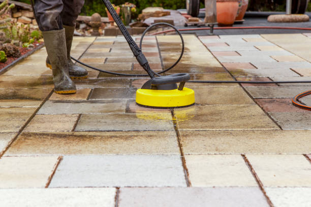 Animal Enclosure Cleaning in Oak View, CA