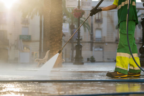Best Driveway Pressure Washing  in Oak View, CA